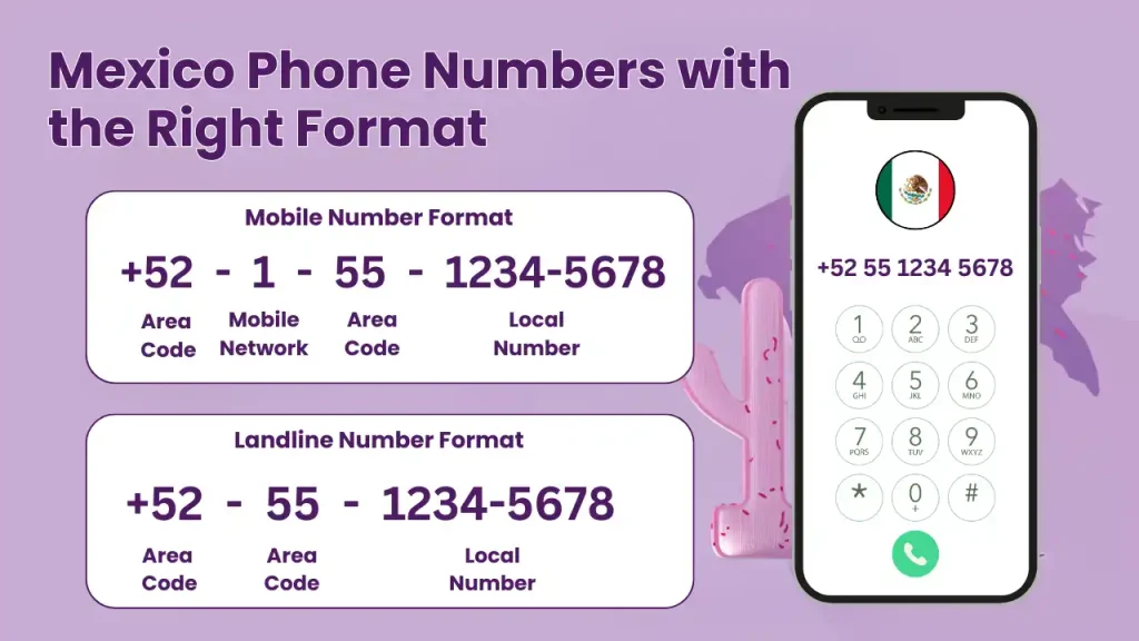mexico phone number format
