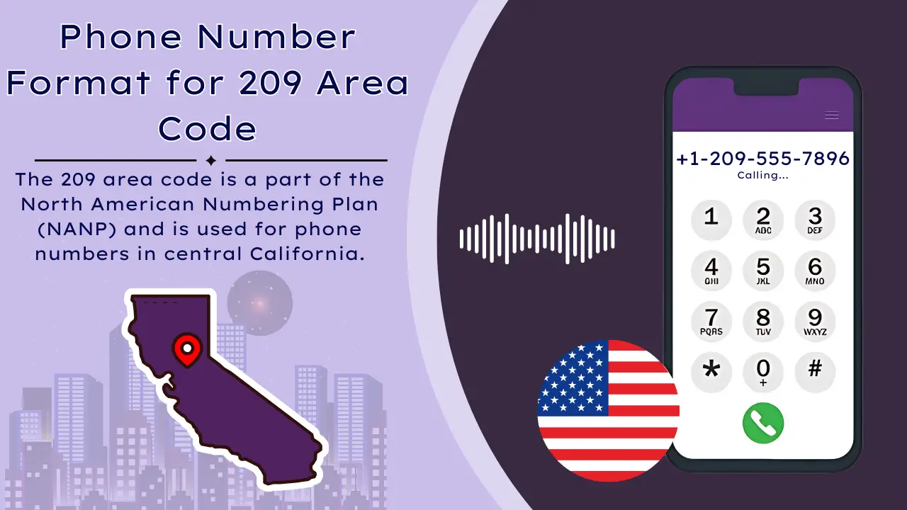 Phone Number Format for 209 Area Code (1)