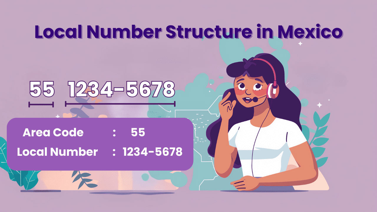 Local Number Structure in Mexico