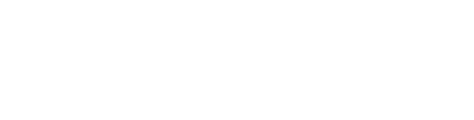 ringflow-white-logo