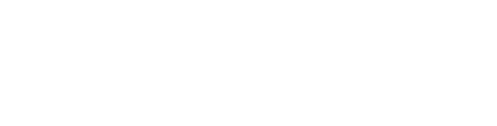 ringflow-white-logo