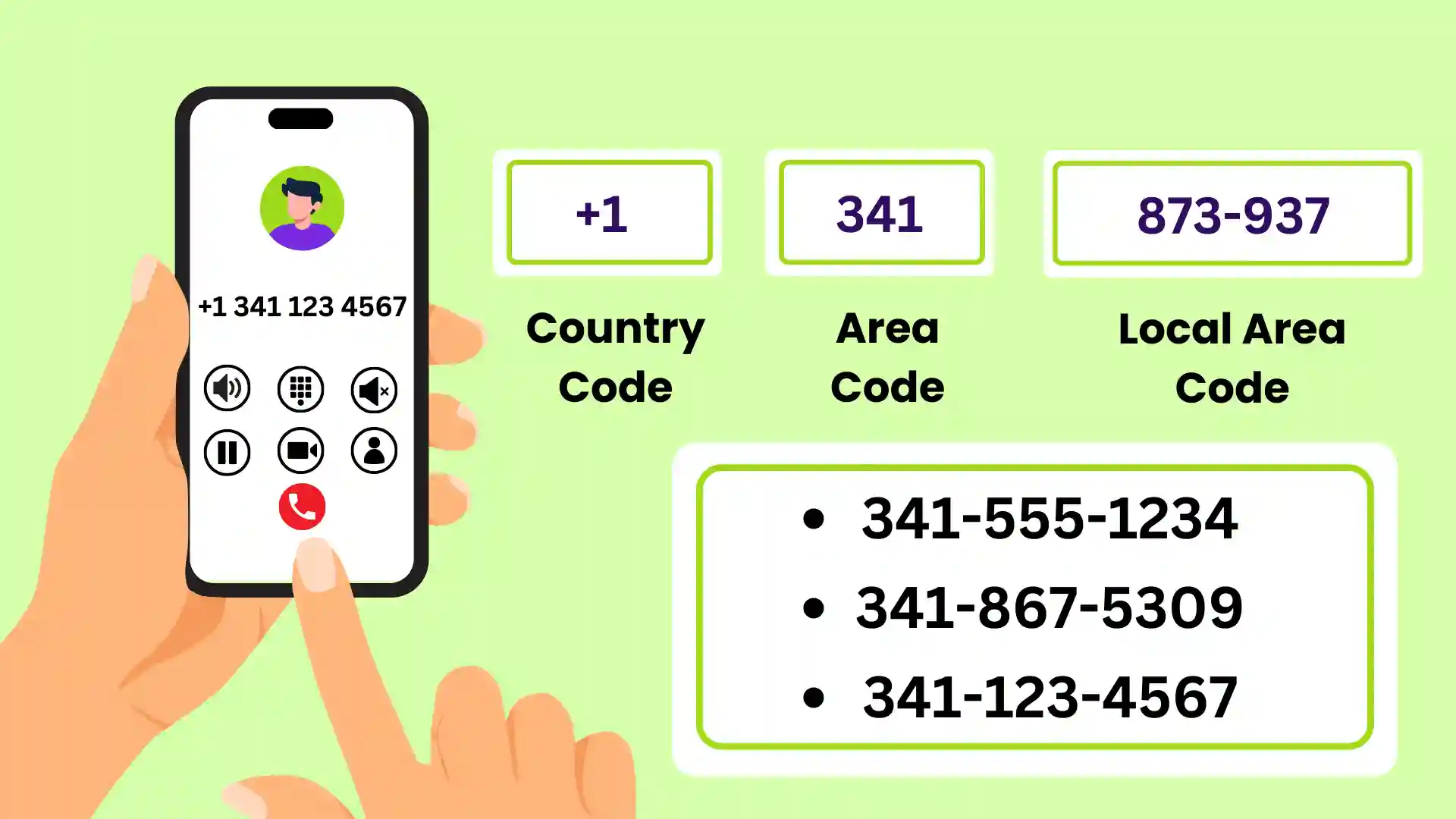 341 Area Code Phone Number Format and Examples