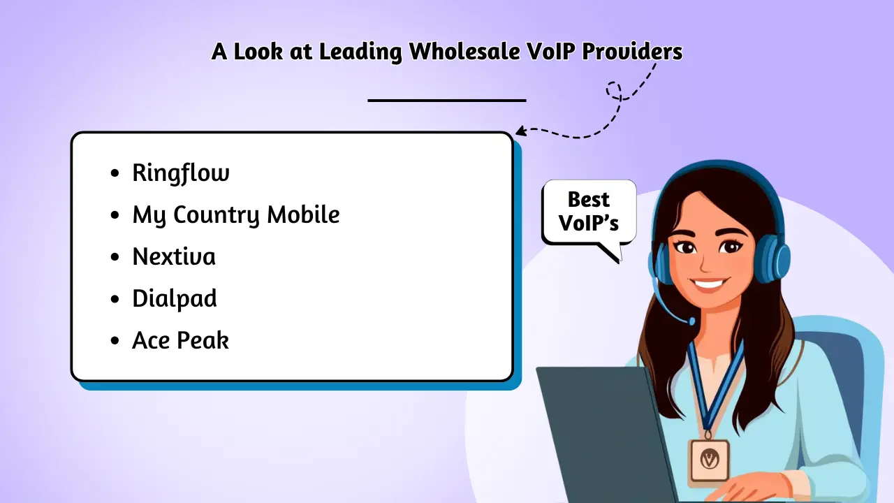A Look at Leading Wholesale VoIP Providers